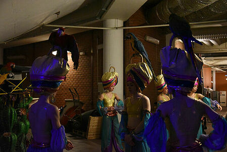 Behind the scenes of the circus