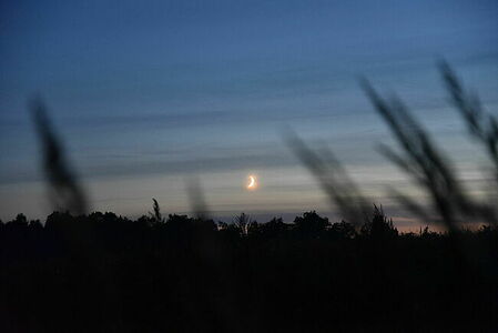 Twilight in the fields, Moscow region