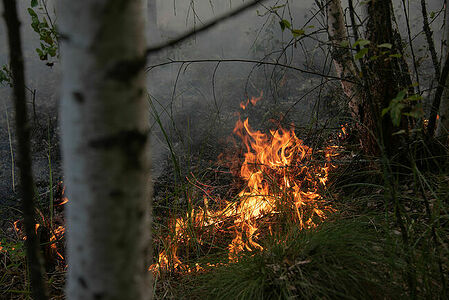 The fire spreads through the grass and captures huge areas