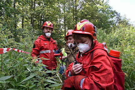 Training fire