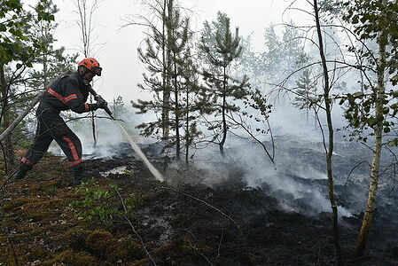 Extinguishing a peat fire
