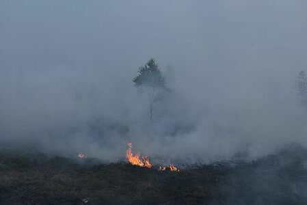 Peat fire