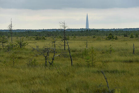 Sestroretsk swamp, in the background - the Lakhta Center skyscraper, Leningrad region