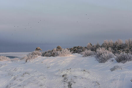 The White Sea coast