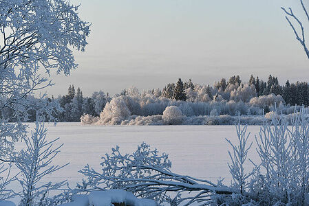 Arkhangelsk region