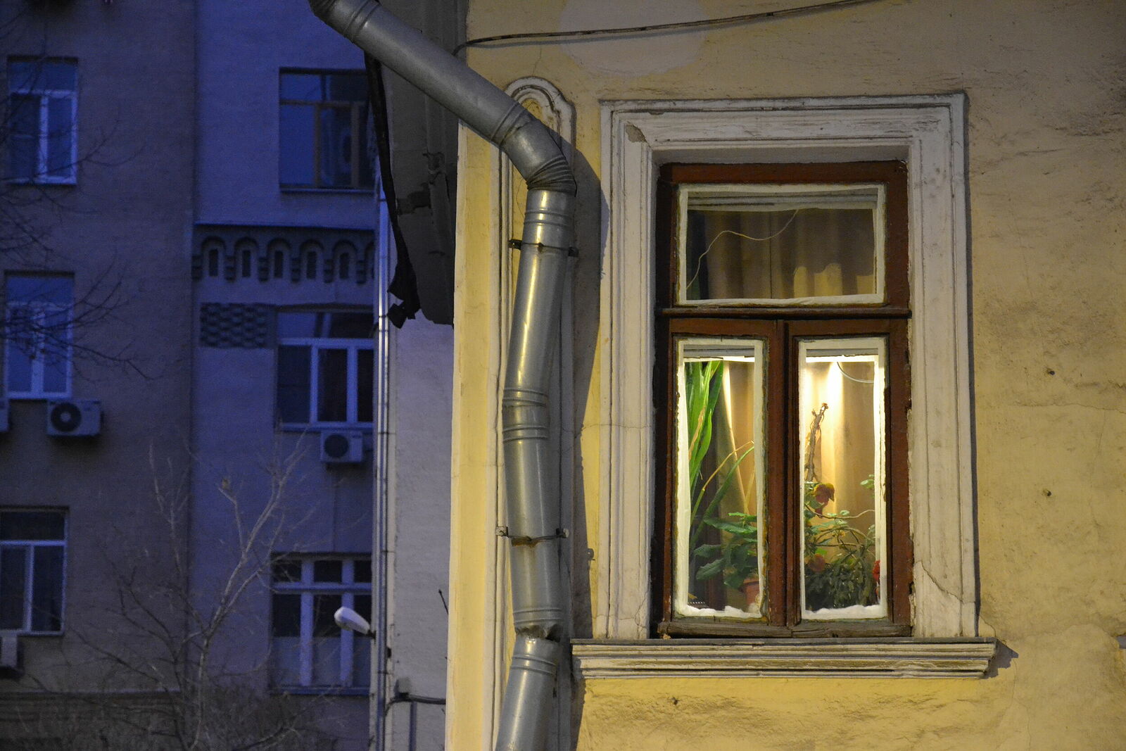 Photojournalist Anastasia Tsitsinova. Russia. Untitled Windows, Moscow