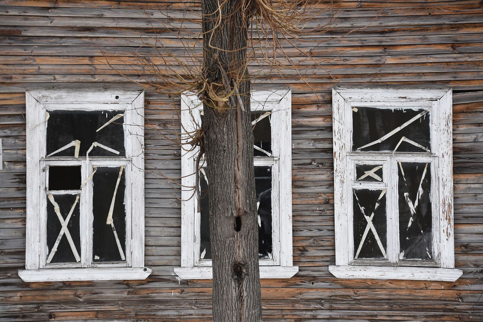 Photojournalist Anastasia Tsitsinova. Russia. Untitled Abandoned house, Kasimov, Ryazan region