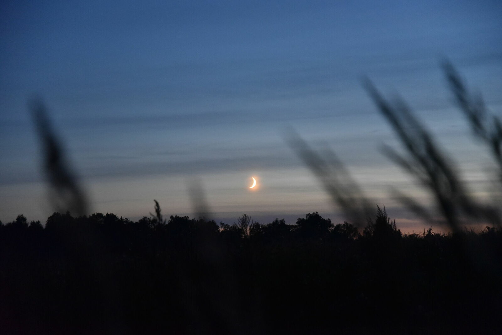 Photojournalist Anastasia Tsitsinova. Landscapes. Untitled Twilight in the fields, Moscow region
