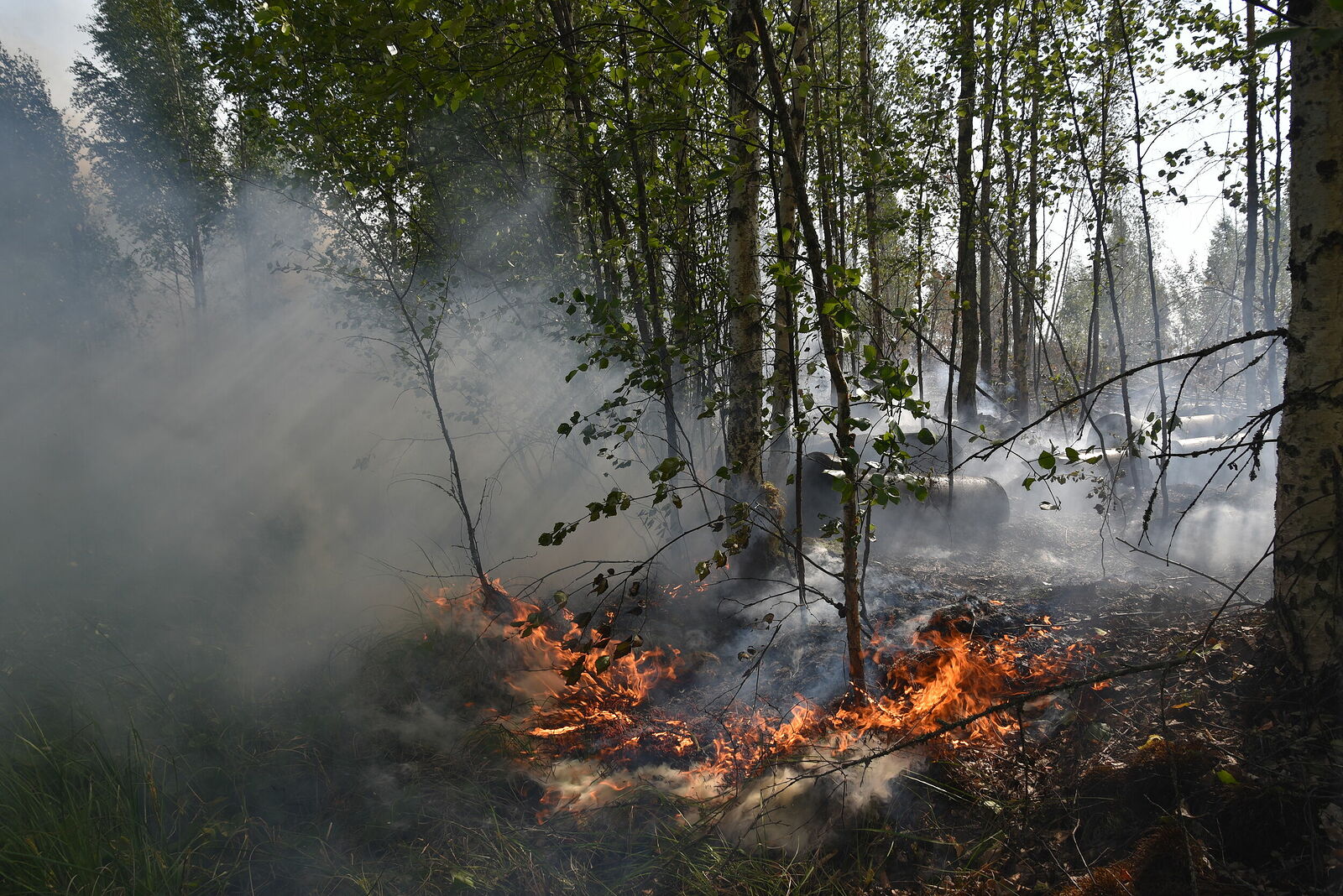 Photojournalist Anastasia Tsitsinova. Volunteer firefighters. Untitled The spread of peat fire