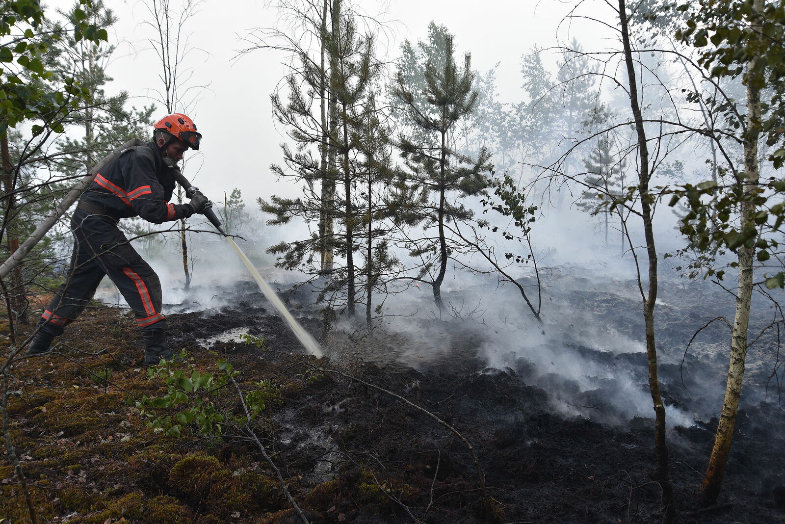 Photojournalist Anastasia Tsitsinova. Volunteer firefighters. Untitled Extinguishing a peat fire