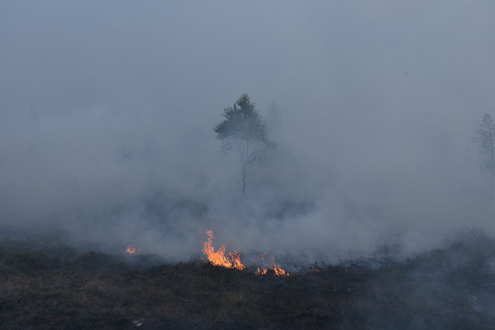 Photojournalist Anastasia Tsitsinova. Volunteer firefighters. Untitled Peat fire
