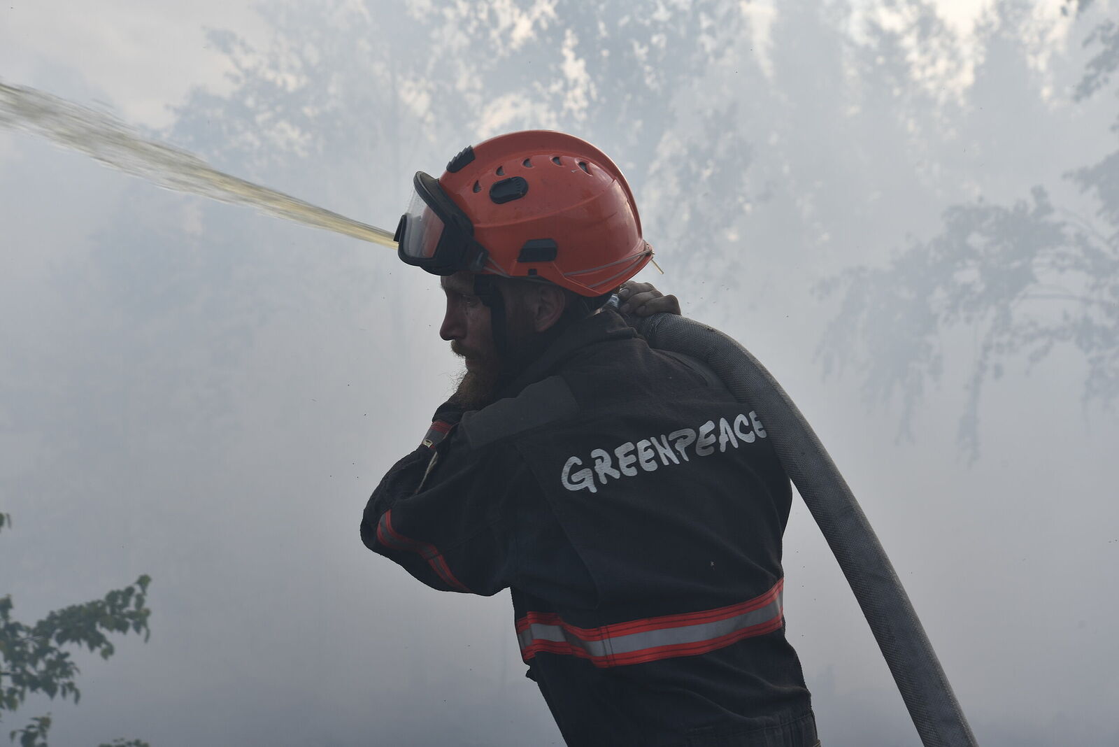 Photojournalist Anastasia Tsitsinova. Volunteer firefighters. Untitled Greenpeace fireman extinguishing a peat bog