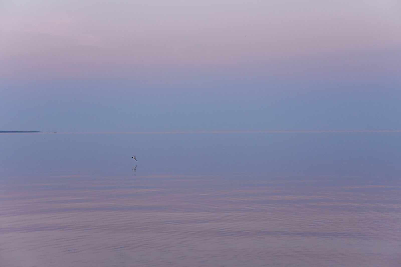 Photojournalist Anastasia Tsitsinova. Landscapes. Untitled Lake Onega