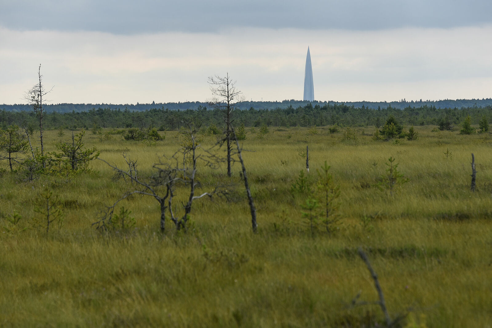 Photojournalist Anastasia Tsitsinova. Landscapes. Untitled Sestroretsk swamp, in the background - the Lakhta Center skyscraper, Leningrad region