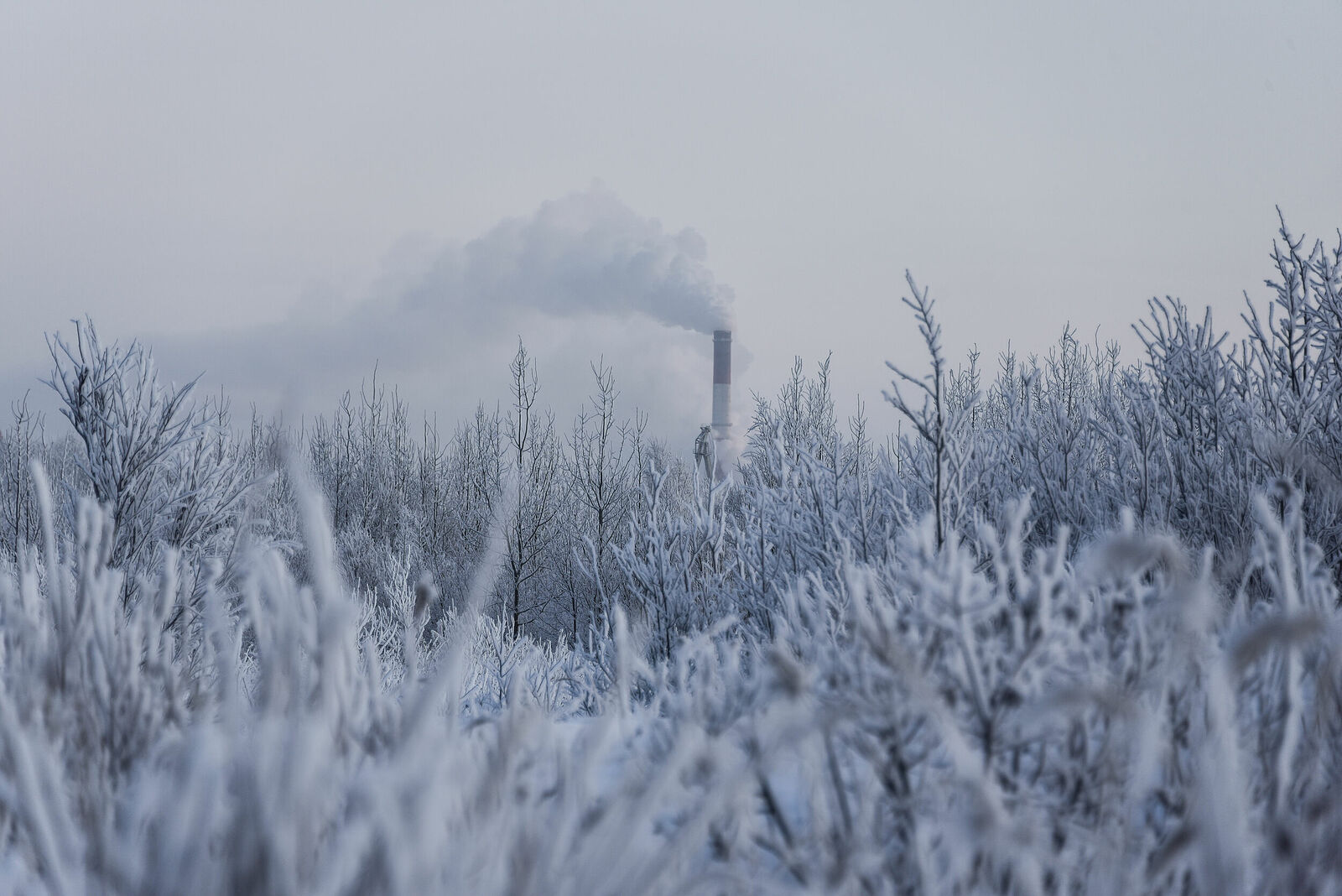 Photojournalist Anastasia Tsitsinova. Russia. Untitled Severodvinsk