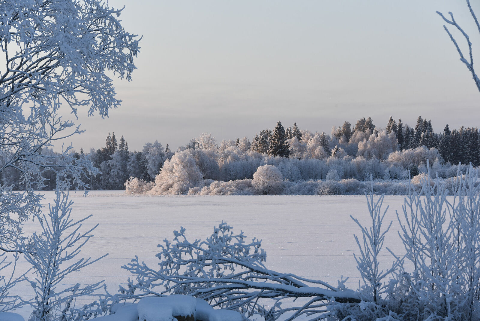 Photojournalist Anastasia Tsitsinova. Landscapes. Untitled Arkhangelsk region