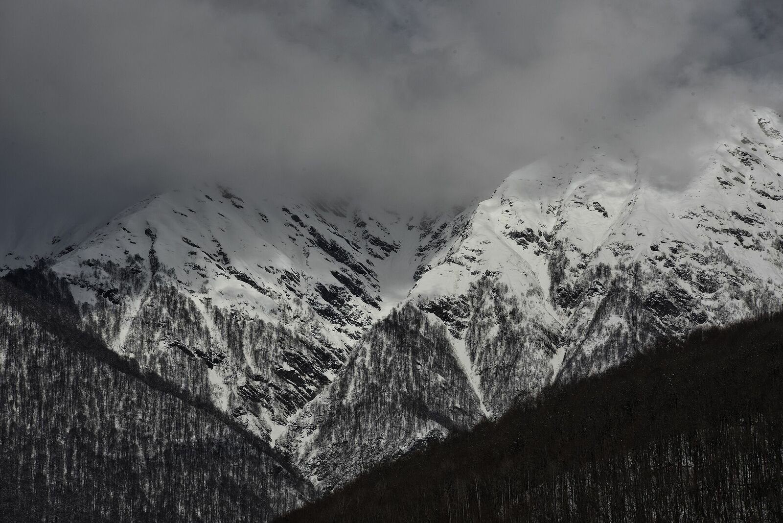 The Caucasus Mountains